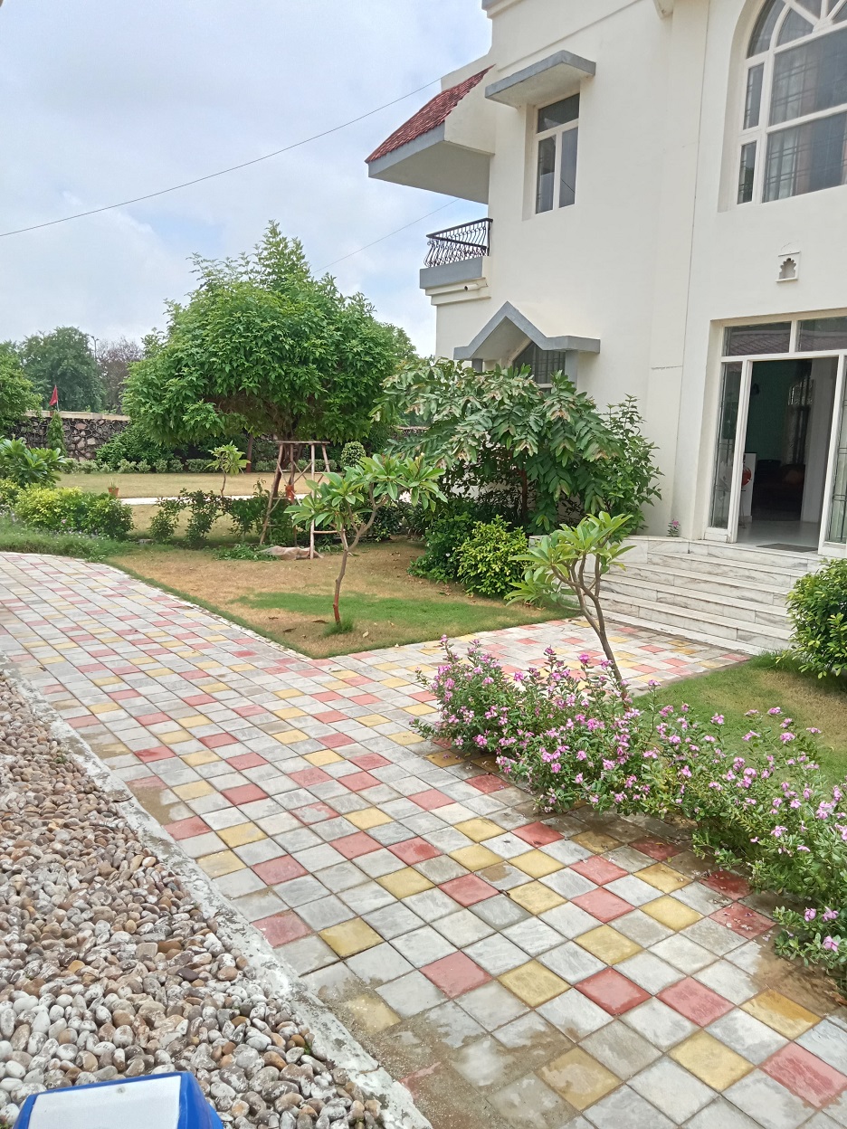 Gallery 06