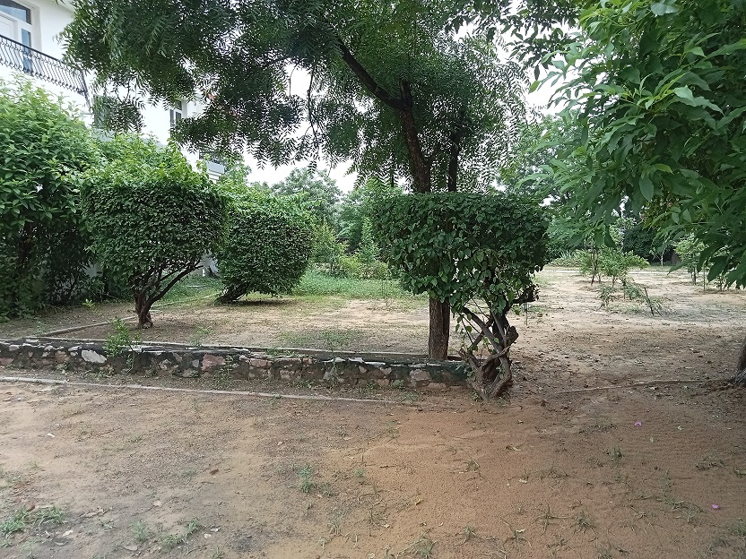 Gallery 03